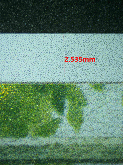 06495 EEVEE Grading Card