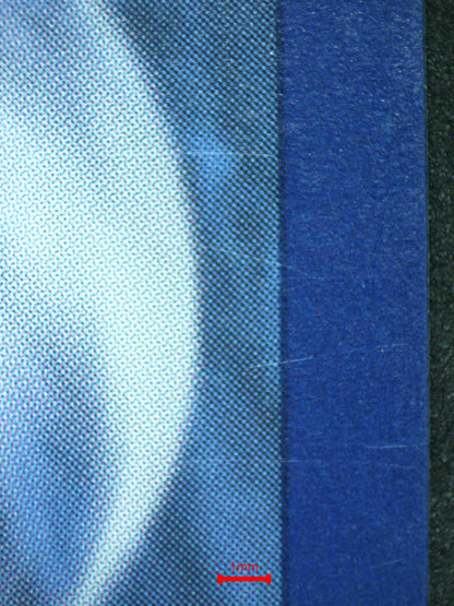 06499 HISUIAN GROWLITHE (SPANISH) Grading Card