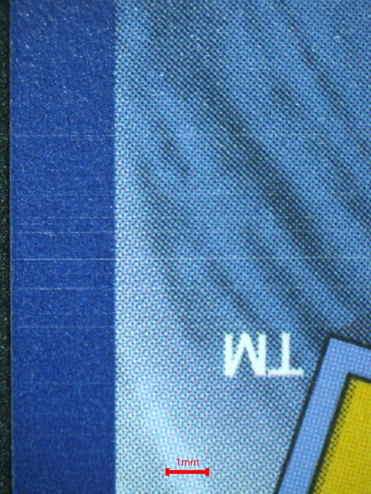 06513 PIKACHU EX Grading Card