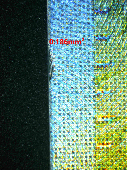 06516 ARVEN Grading Card