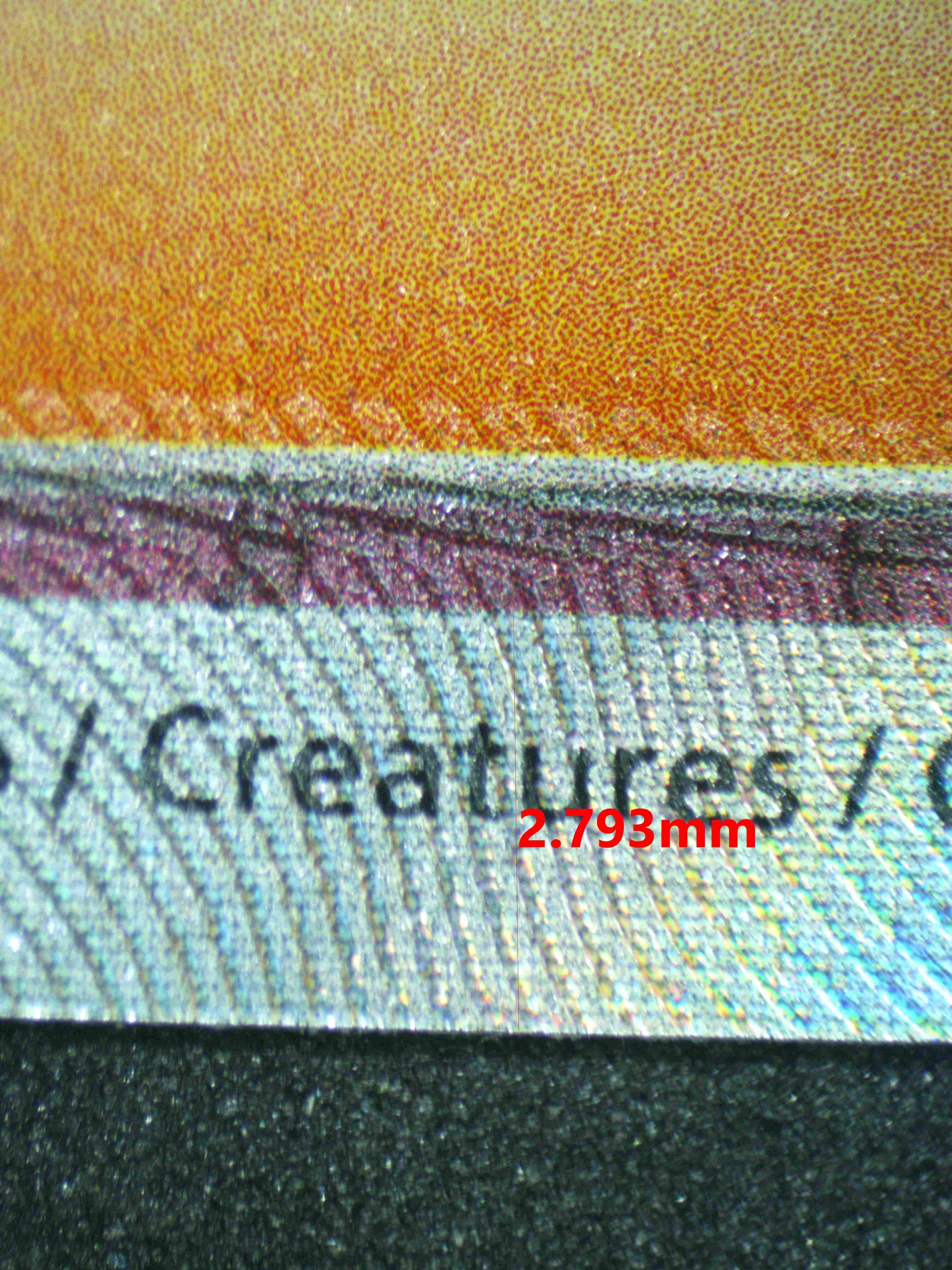 06520 ERIKA'S INVITATION Grading Card