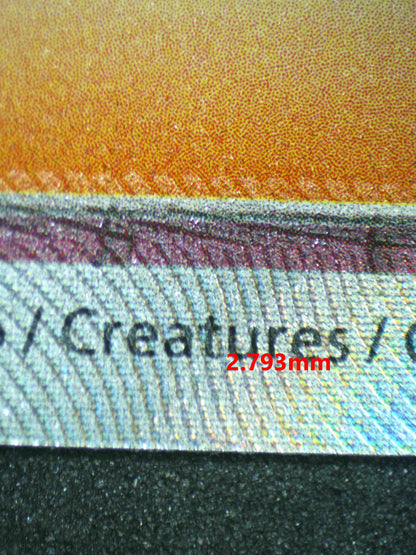 06520 ERIKA'S INVITATION Grading Card