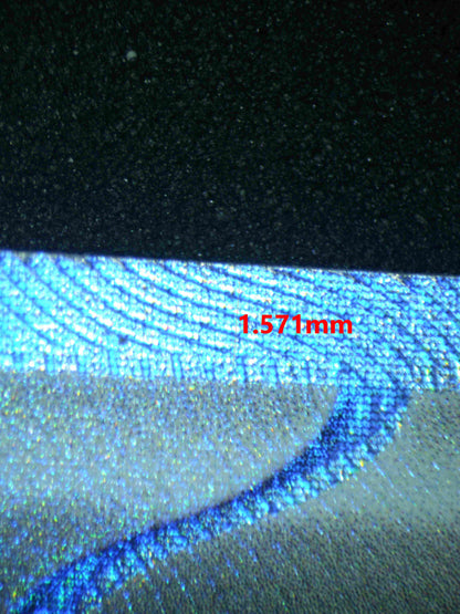 06520 ERIKA'S INVITATION Grading Card