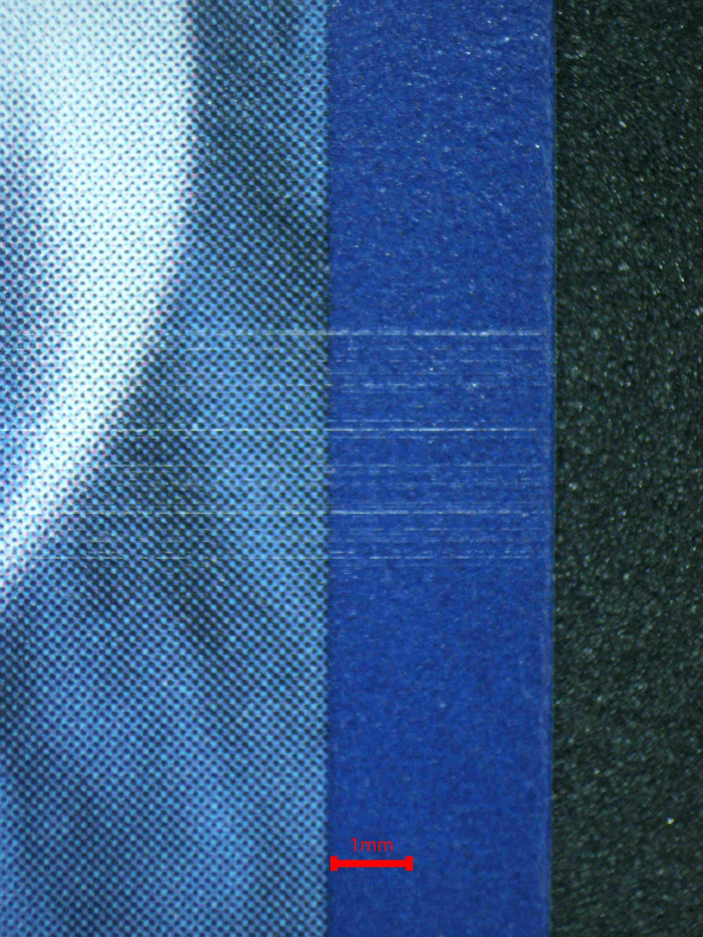 06521 HOP'S WOOLOO Grading Card