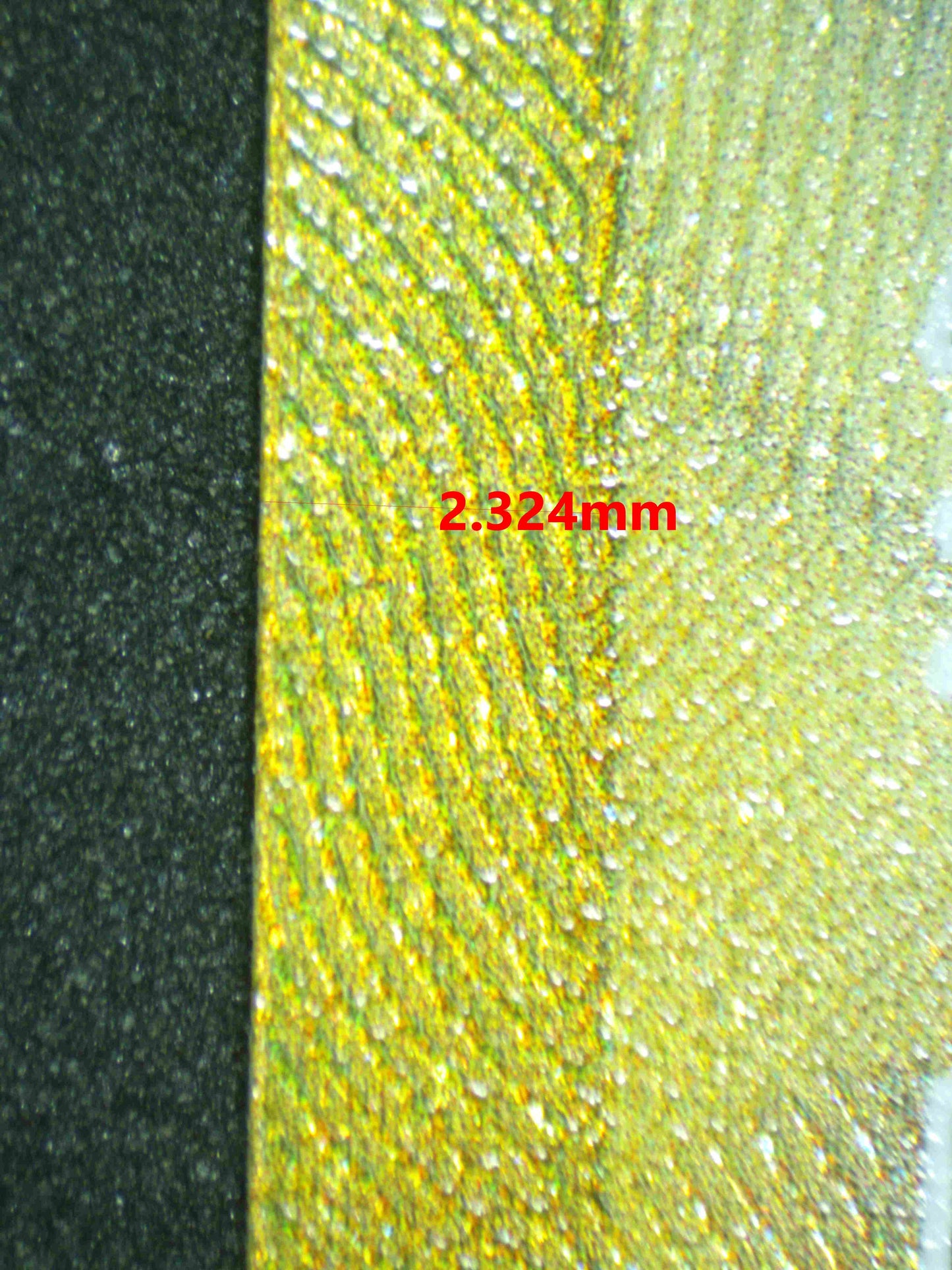 06522 SPIKY ENERGY Grading Card