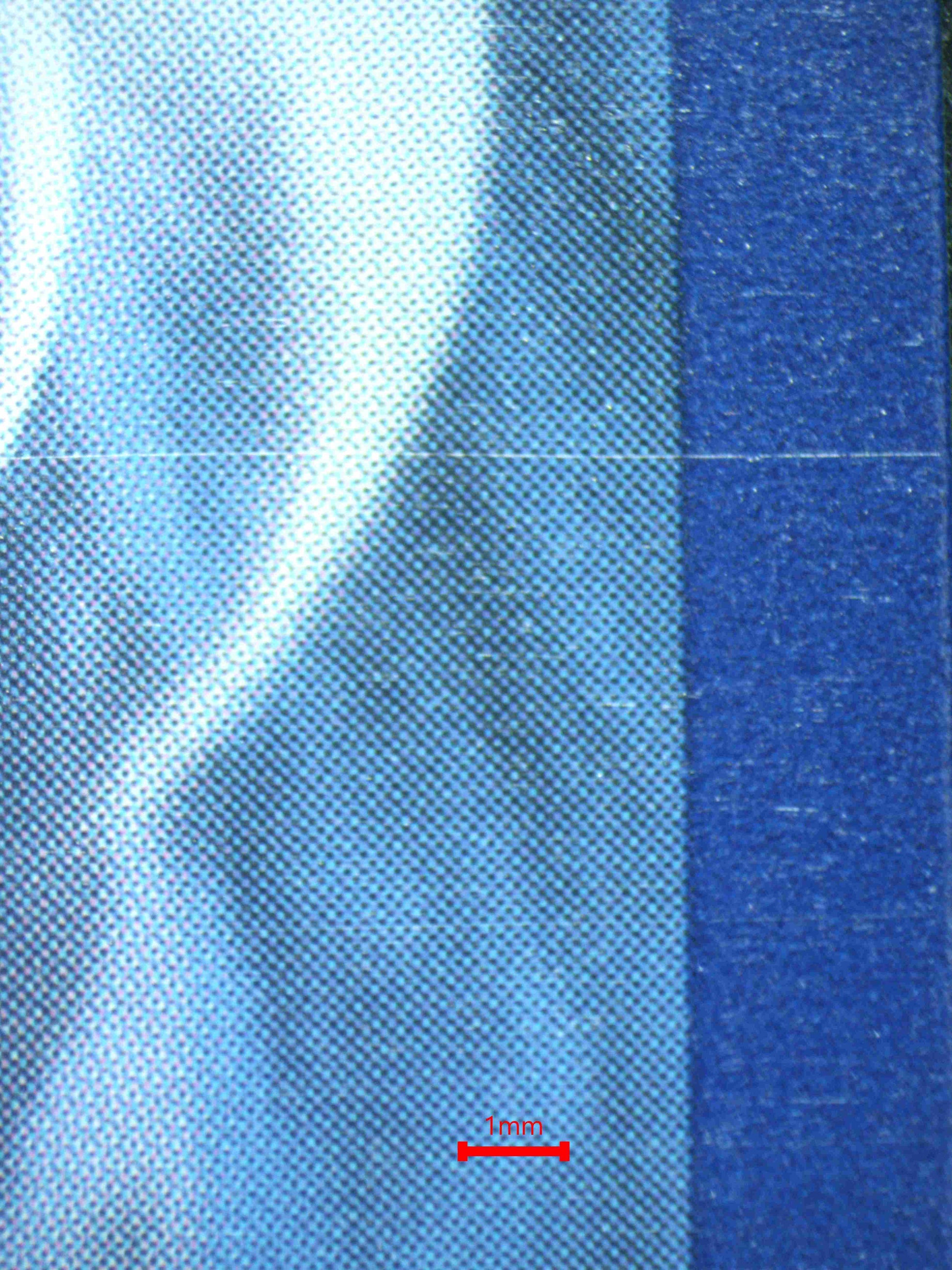 06526 BEWEAR Grading Card