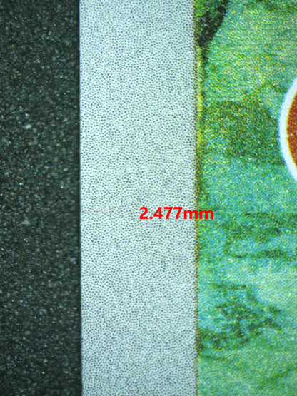 06527 MEDITITE Grading Card