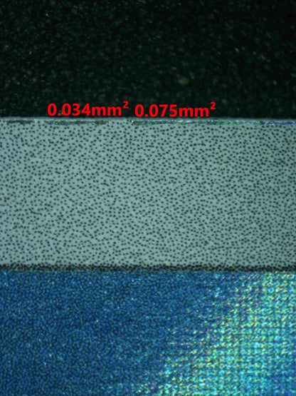 06529 LARVITAR Grading Card