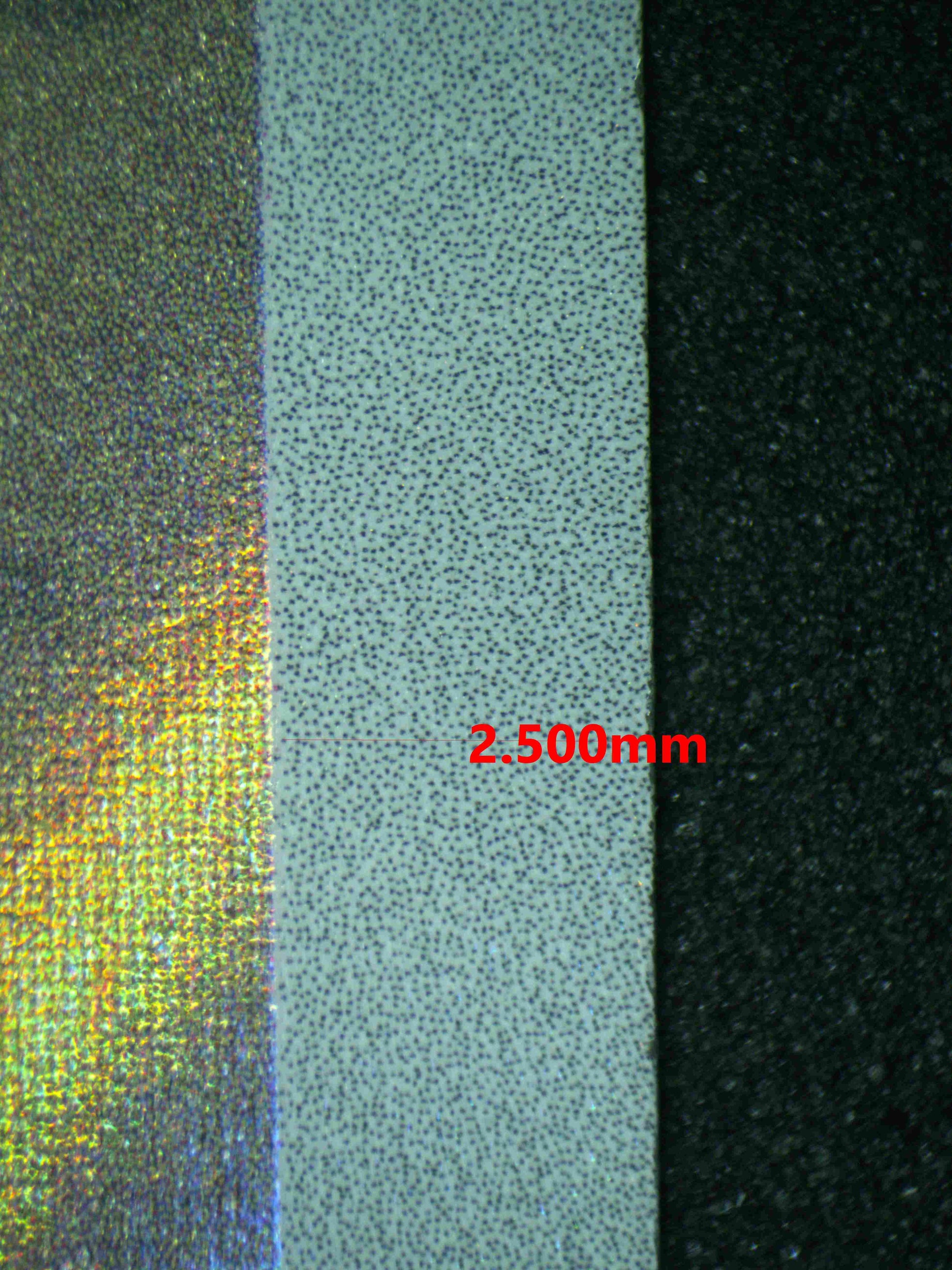 06529 LARVITAR Grading Card