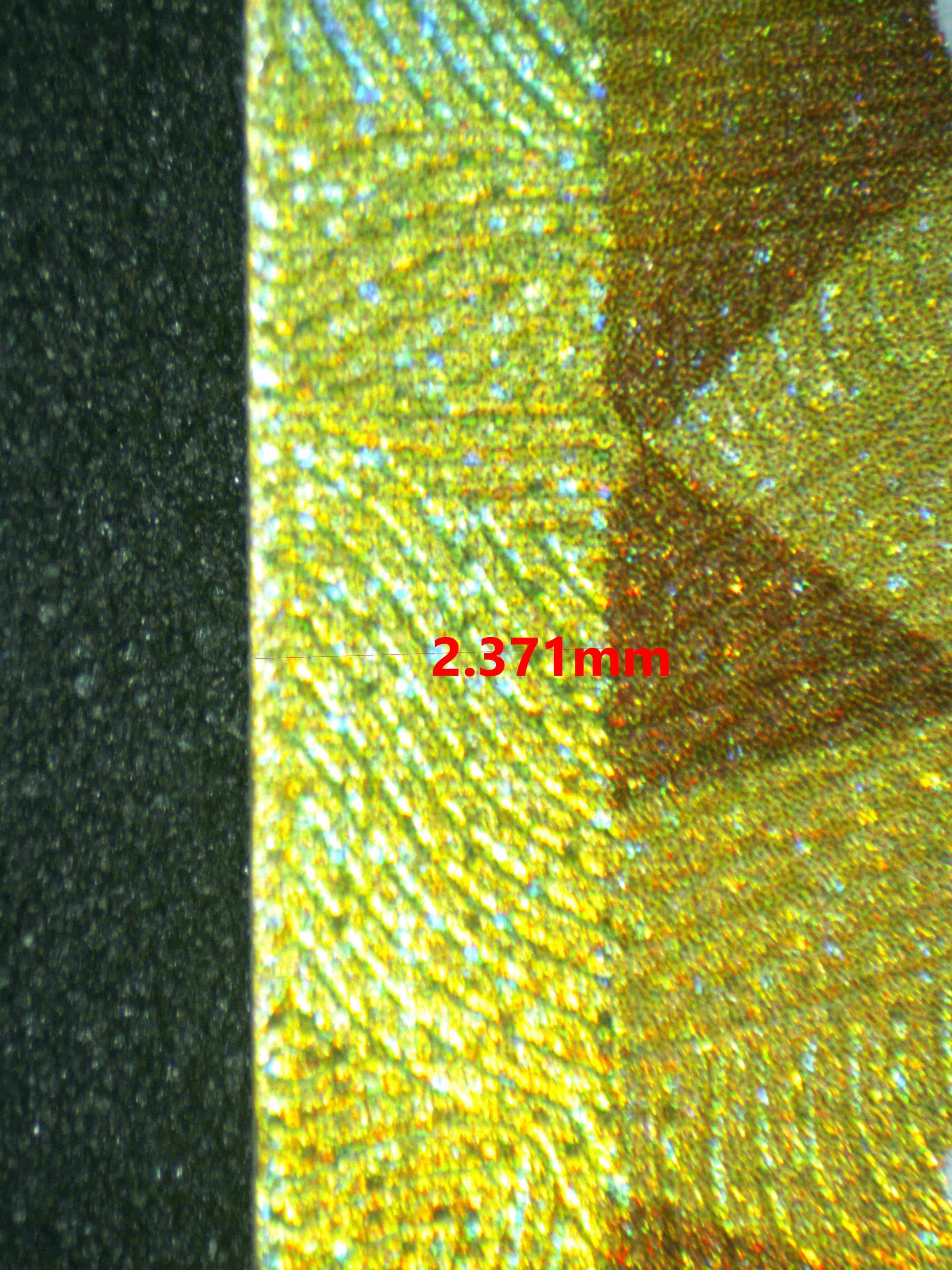 06546 CHARIZARD EX Grading Card