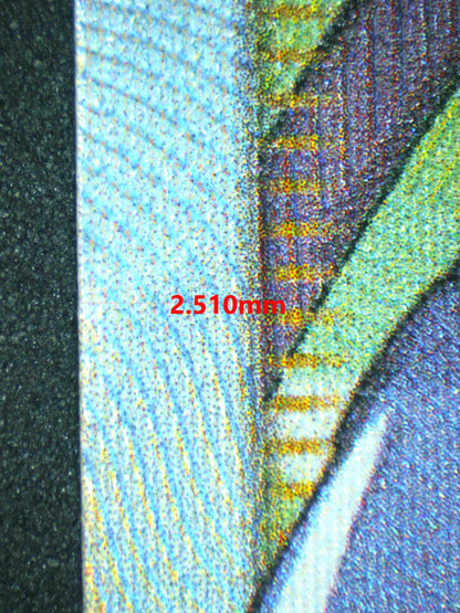 06547 JESSIE & JAMES (SPANISH) Grading Card