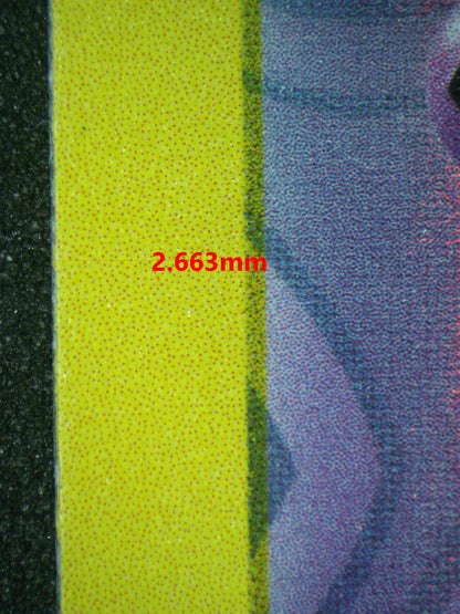 06554 GENGAR Grading Card