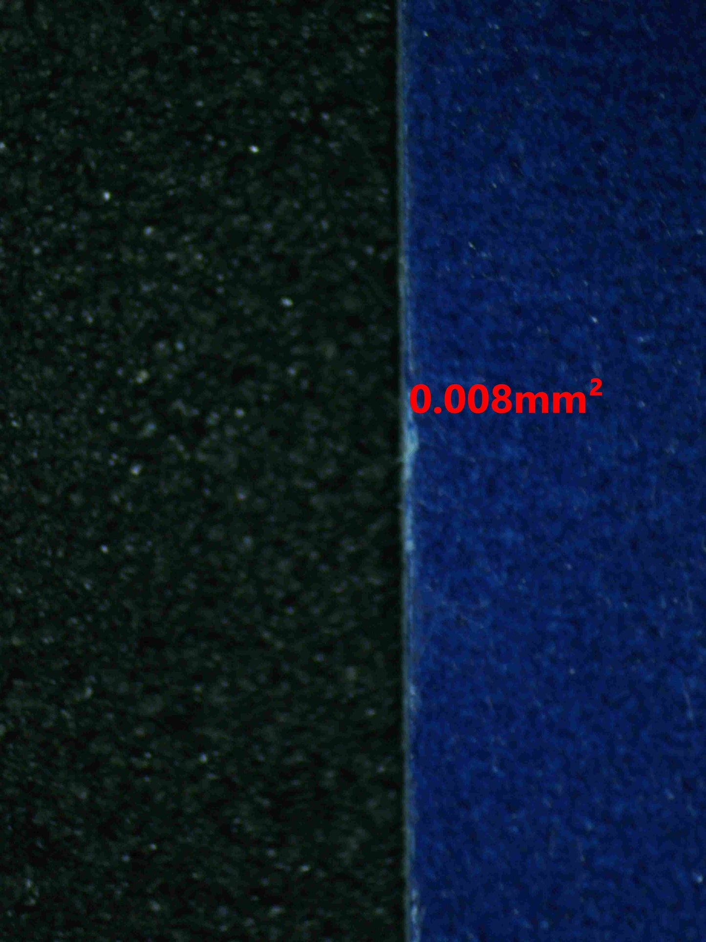 06555 GENGAR EX Grading Card