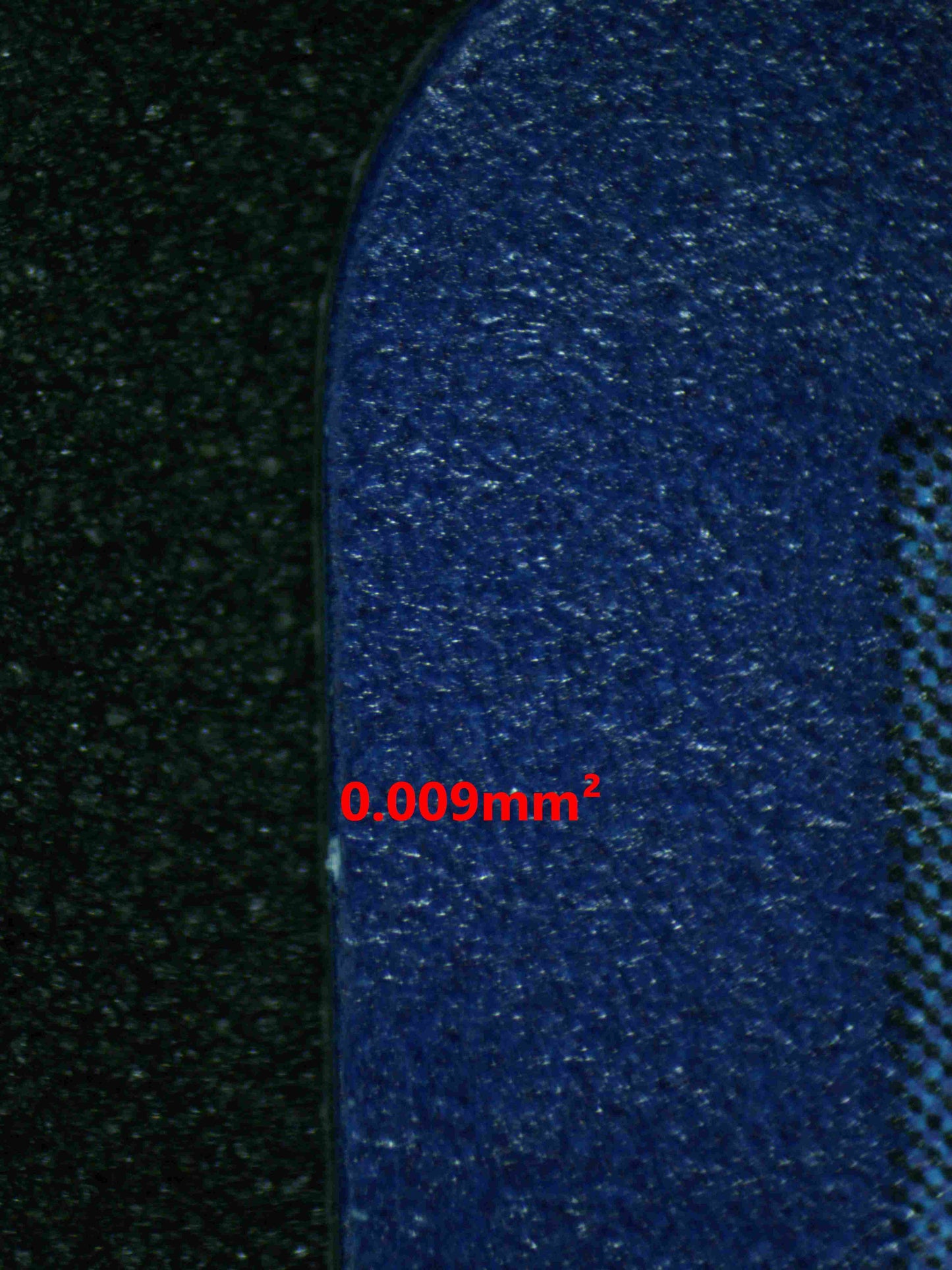 06557 BLASTOISE Grading Card