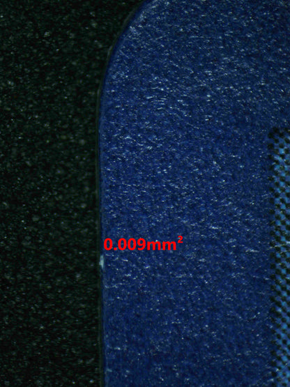 06557 BLASTOISE Grading Card