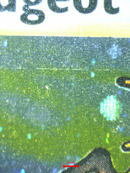 06559 PIDGEOT Grading Card