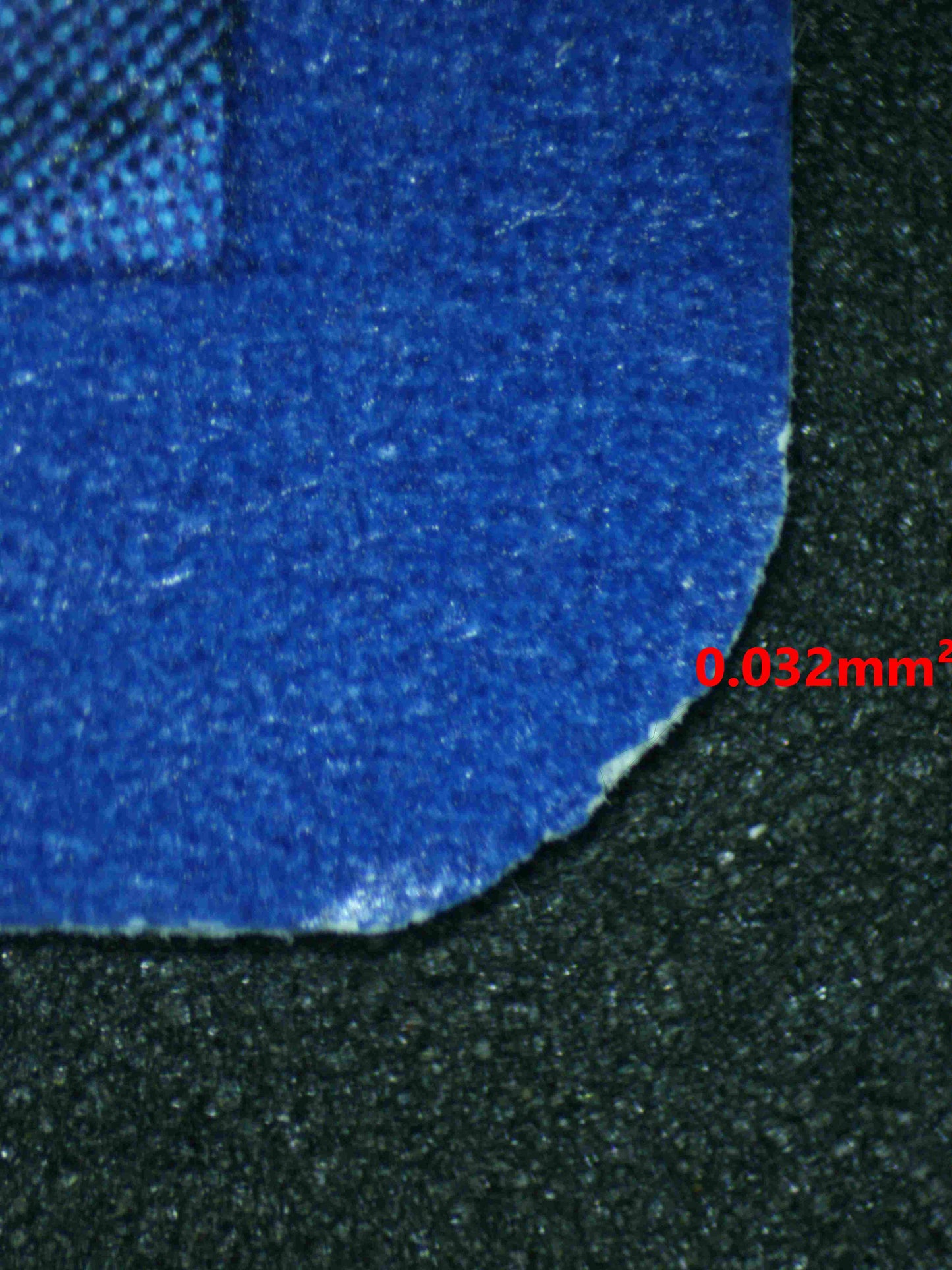 06559 PIDGEOT Grading Card