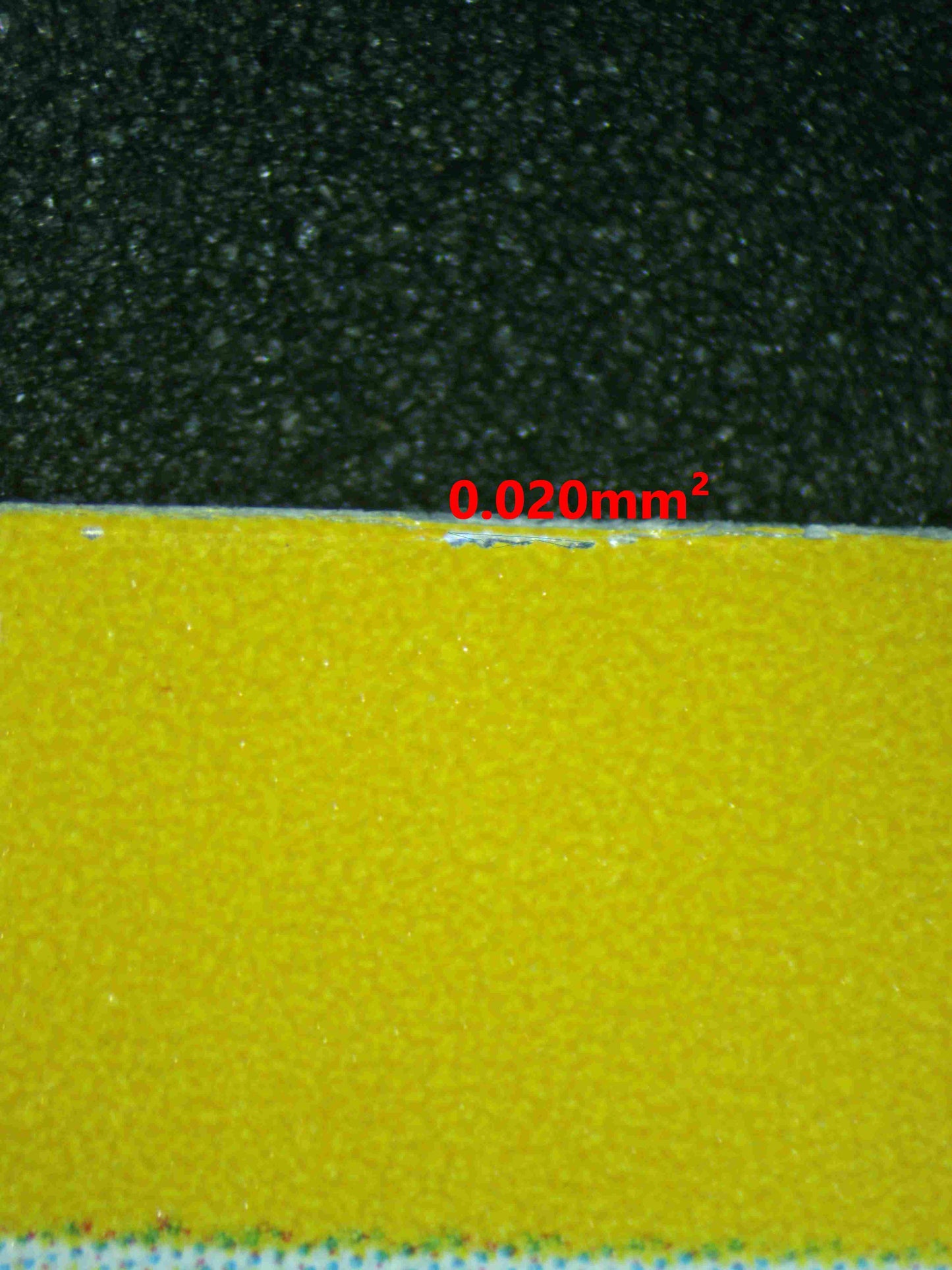 06559 PIDGEOT Grading Card