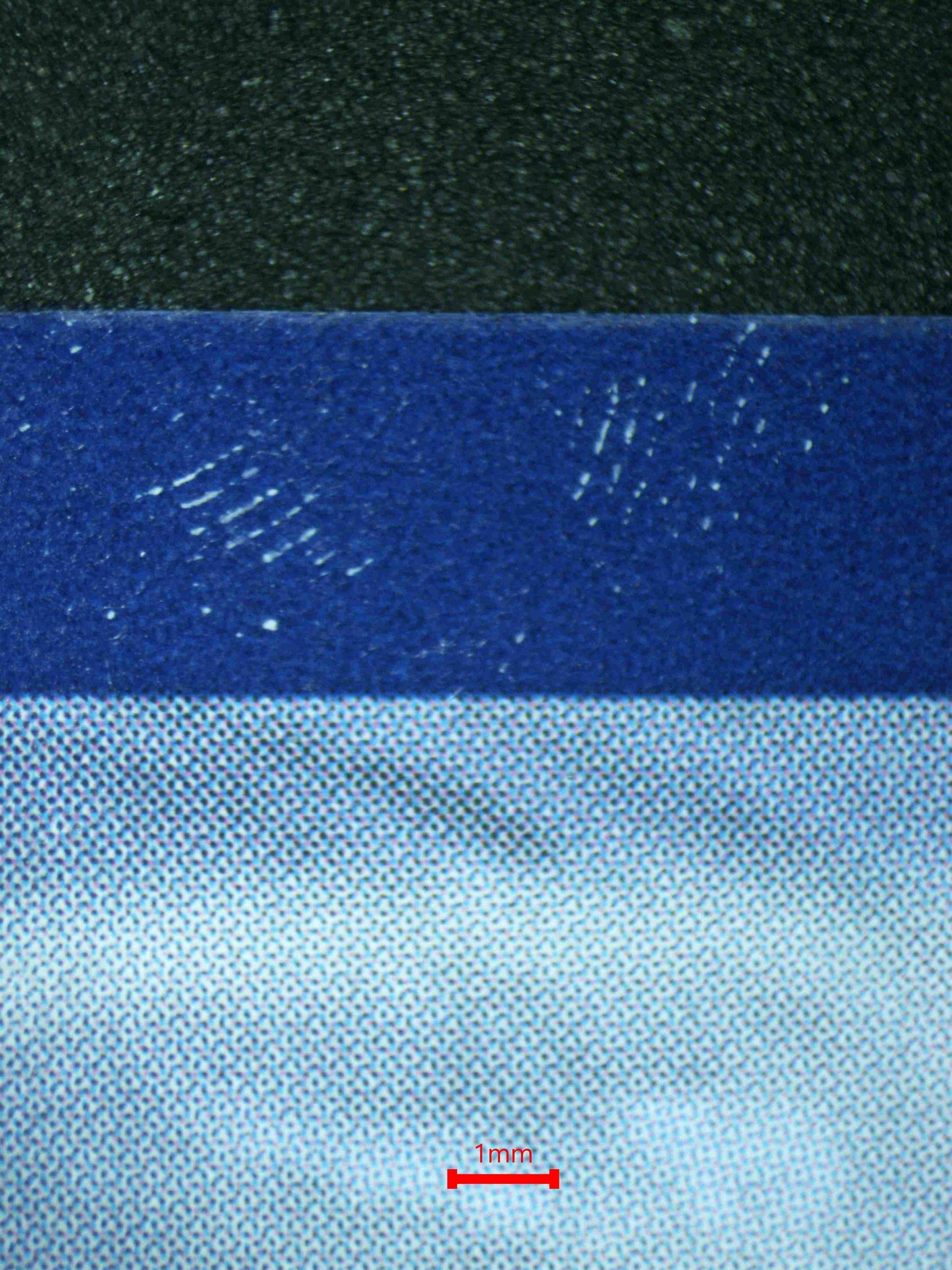 06568 VENUSAUR EX Grading Card