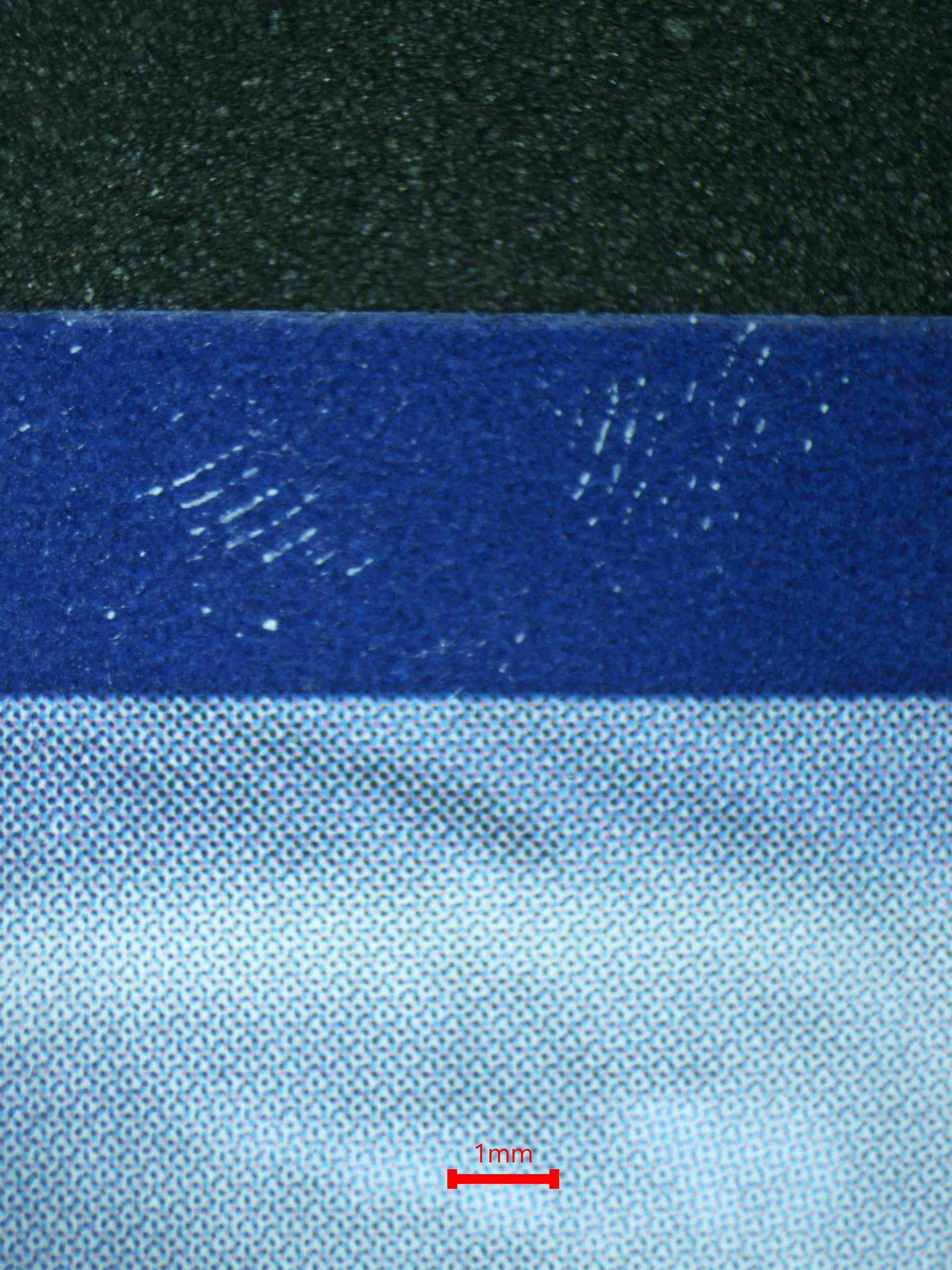 06568 VENUSAUR EX Grading Card