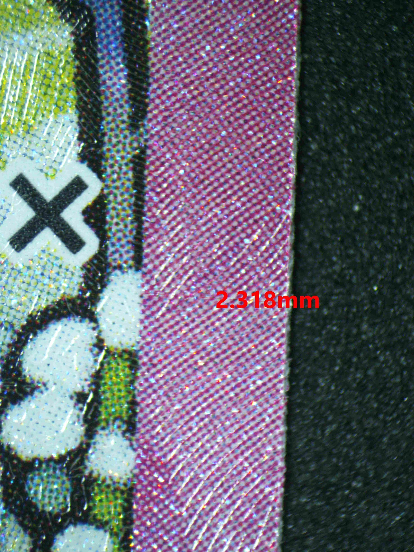 06570 LEAFEON EX (JAPANESE) Grading Card