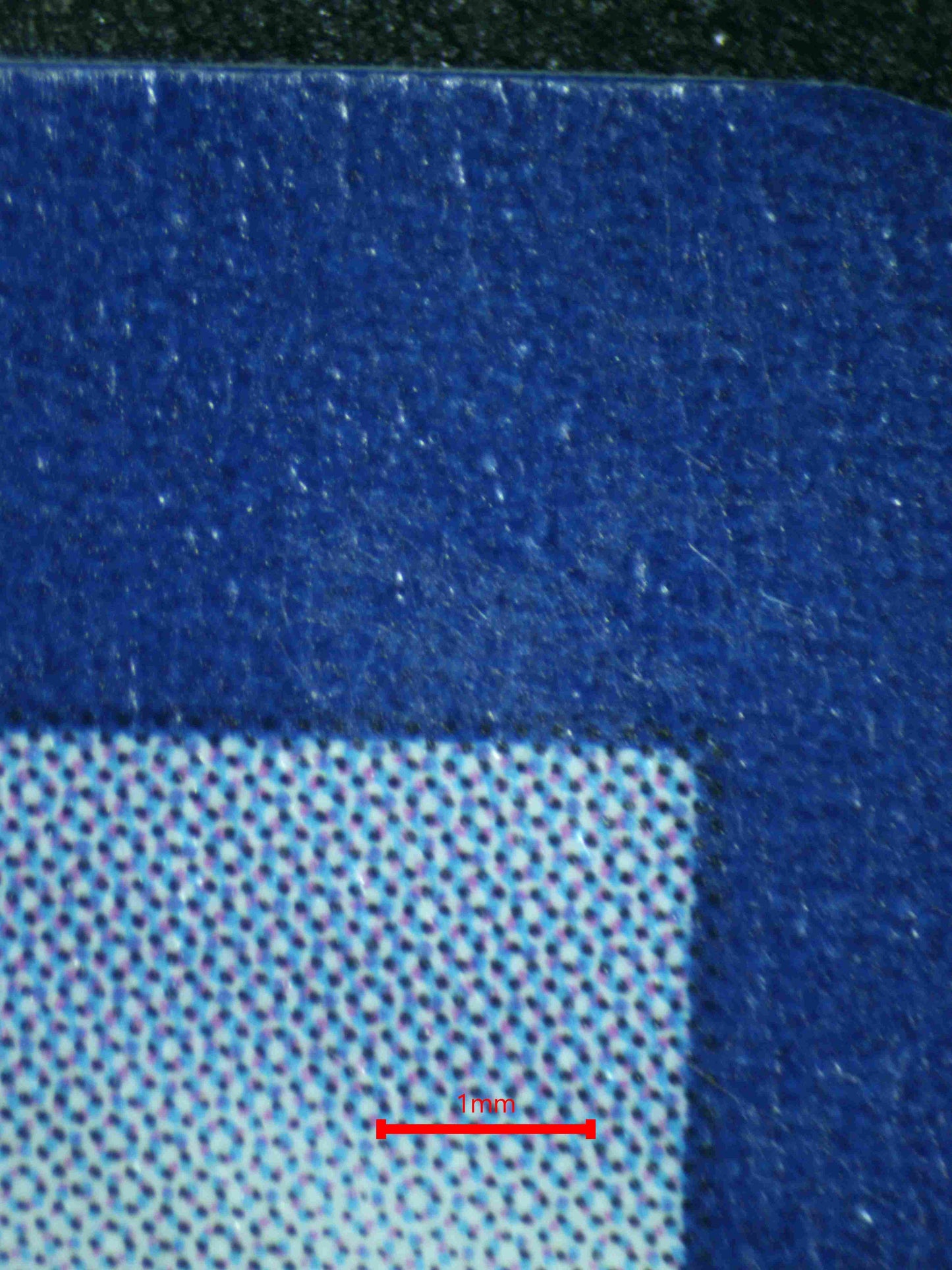 06582 GARDEVOIR EX Grading Card