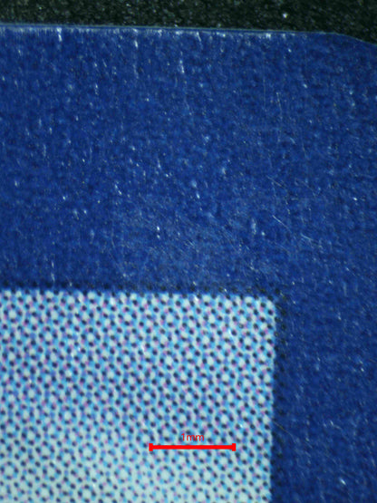 06582 GARDEVOIR EX Grading Card