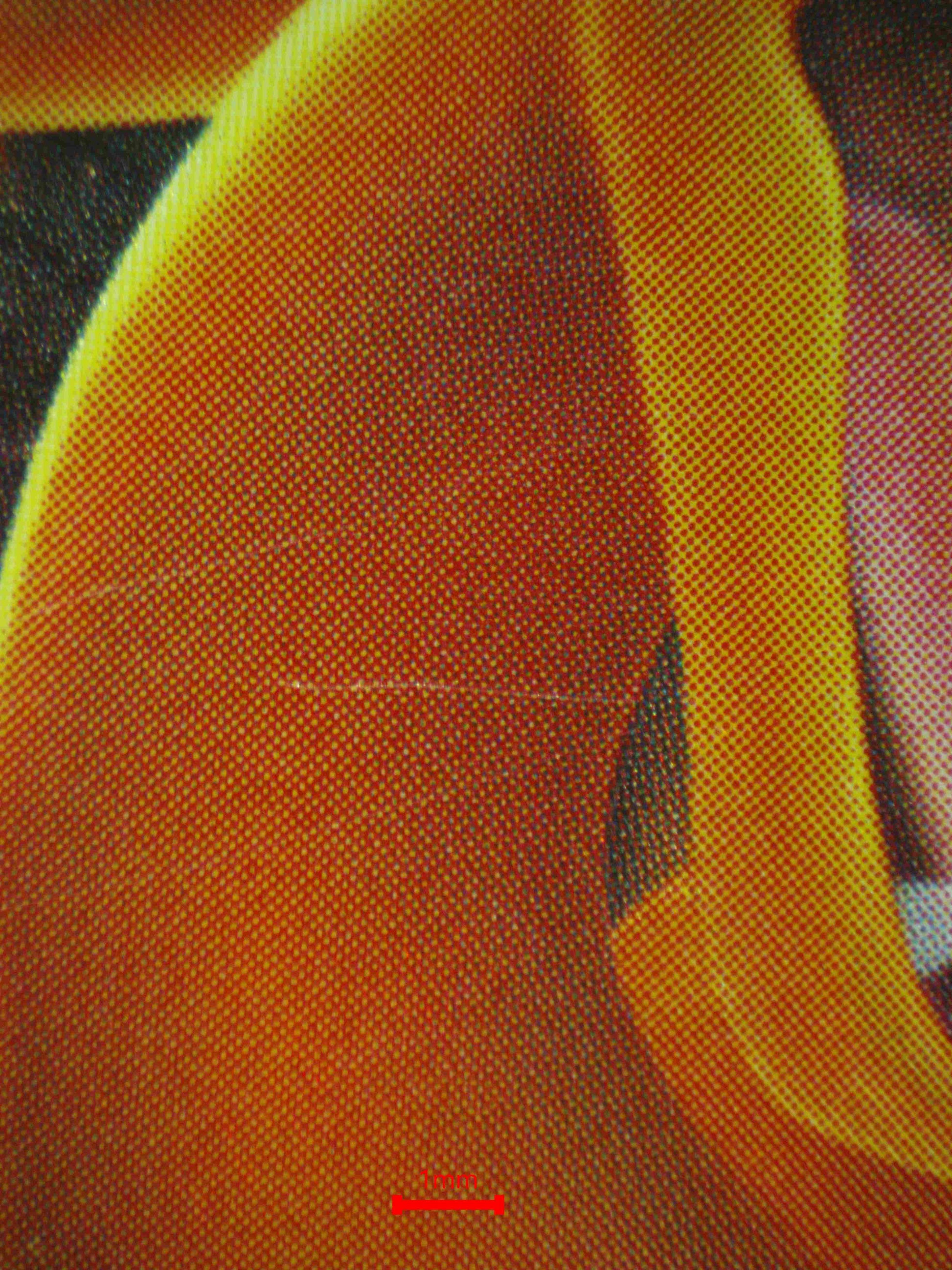 06584 CHARIZARD V (JAPANESE) Grading Card