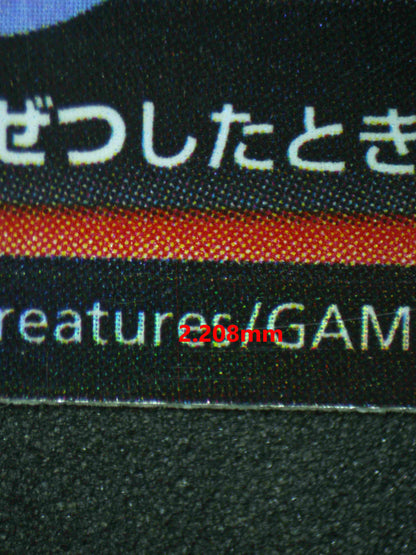 06584 CHARIZARD V (JAPANESE) Grading Card