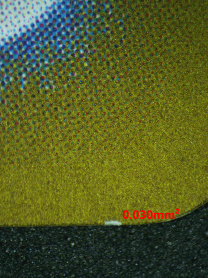 06588 CHARIZARD V (JAPANESE) Grading Card