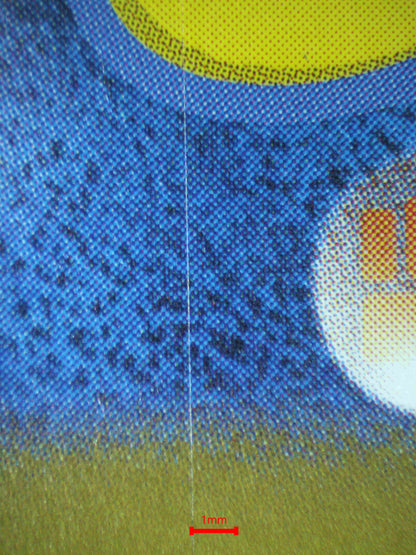 06595 CHARIZARD EX (JAPANESE) Grading Card