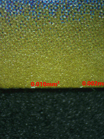 06595 CHARIZARD EX (JAPANESE) Grading Card