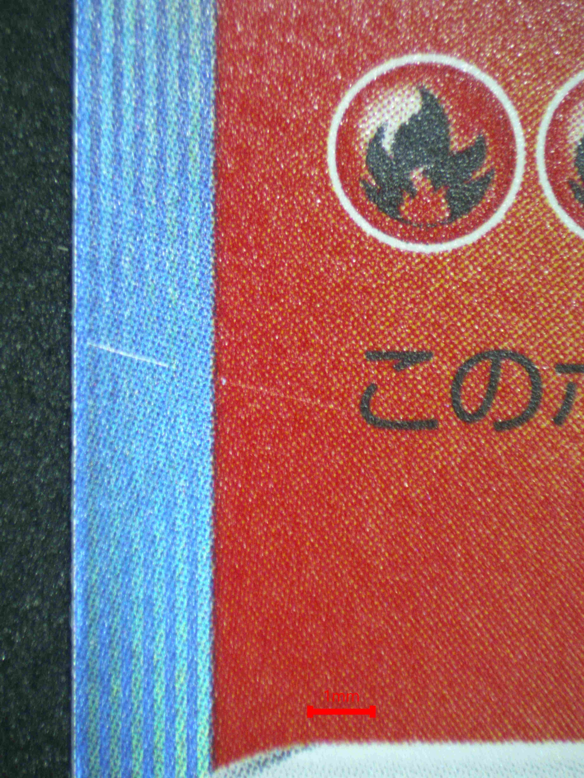 06610 CHARIZARD (JAPANESE) Grading Card