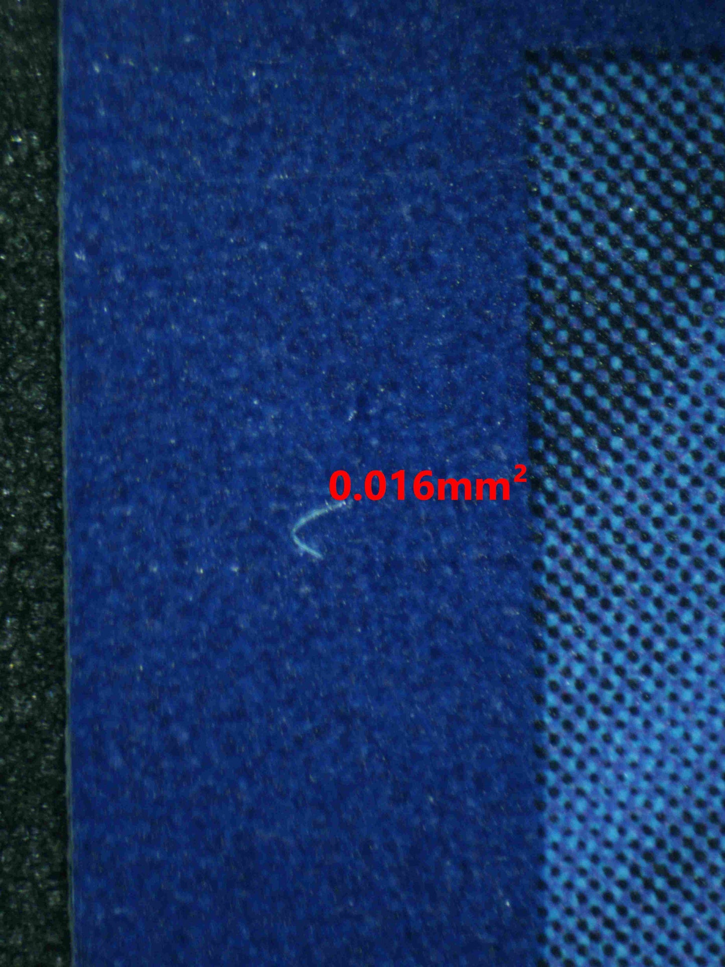 06613 KORAIDON EX Grading Card