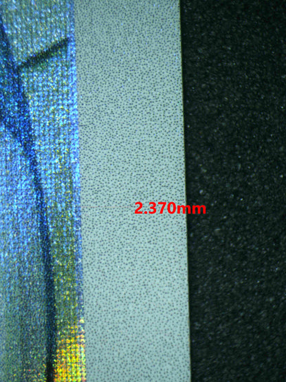 06614 EEVEE Grading Card