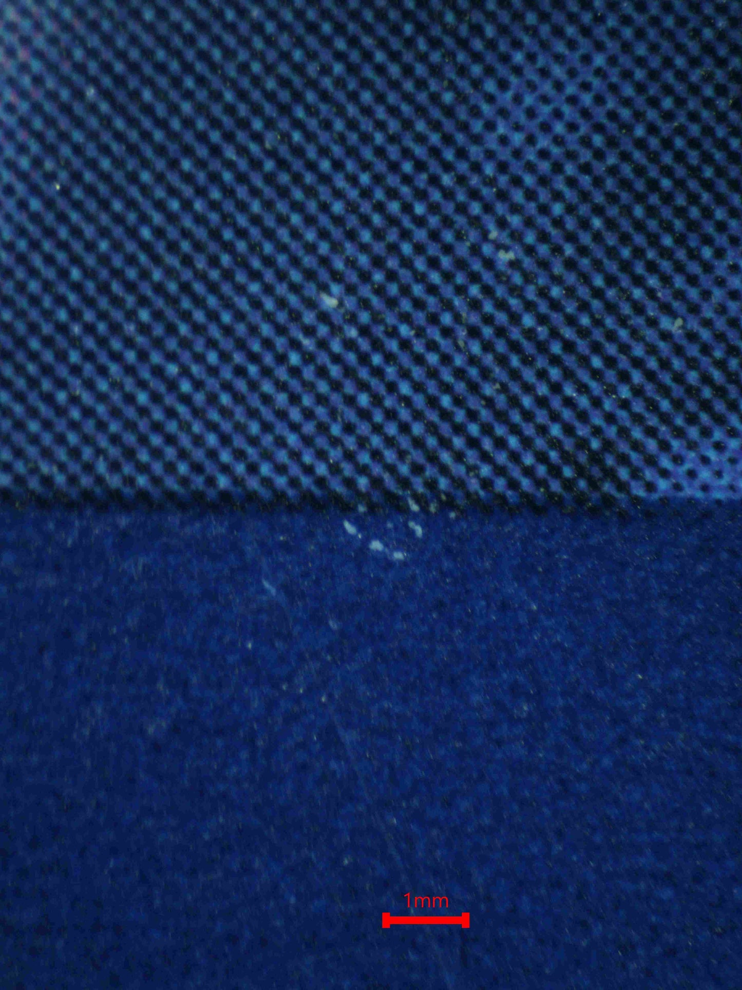 06616 N'S ZOROARK EX Grading Card