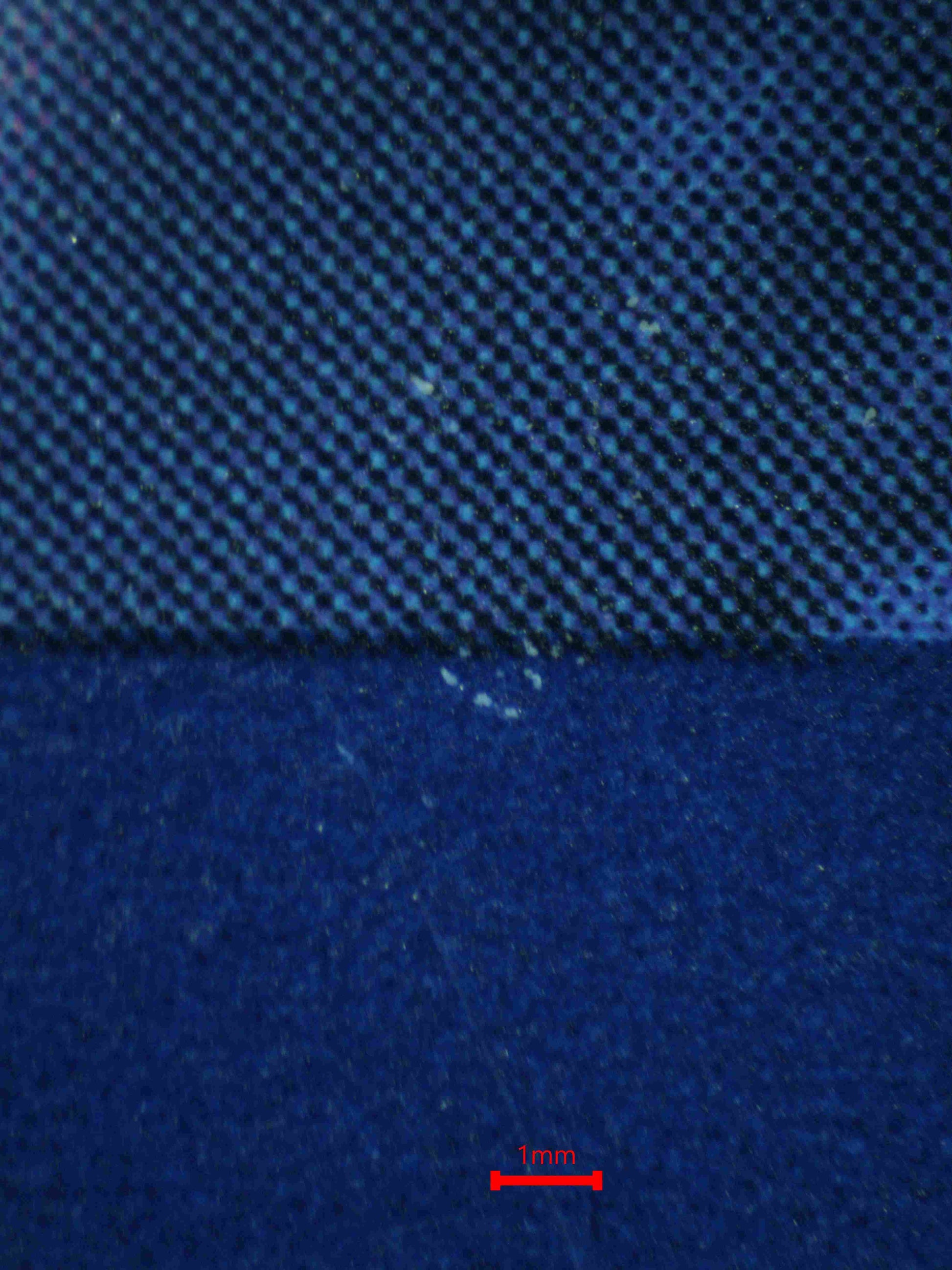 06616 N'S ZOROARK EX Grading Card