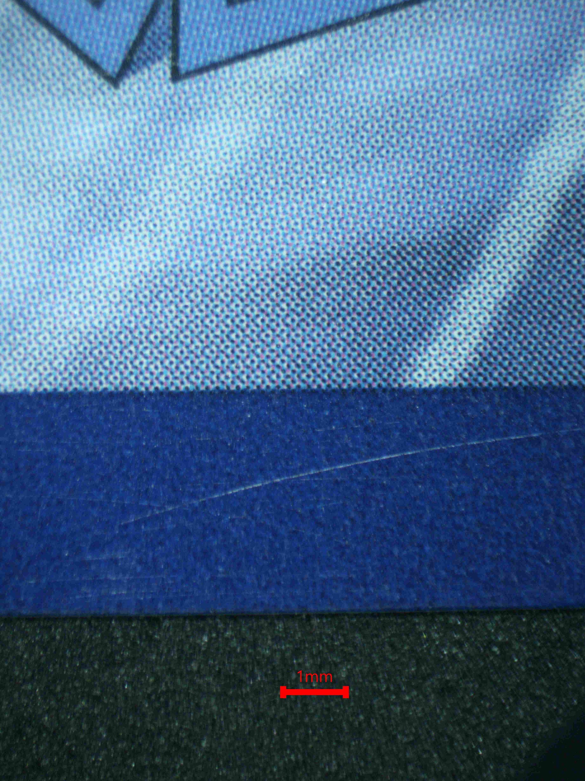 06617 CHARMELEON (SPANISH) Grading Card