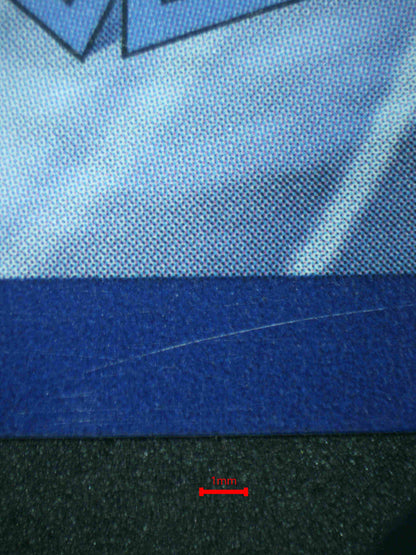 06617 CHARMELEON (SPANISH) Grading Card