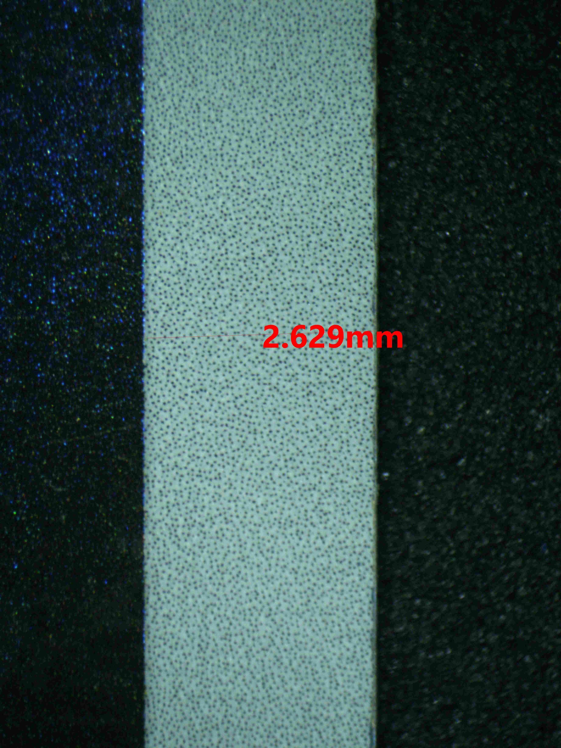 06617 CHARMELEON (SPANISH) Grading Card