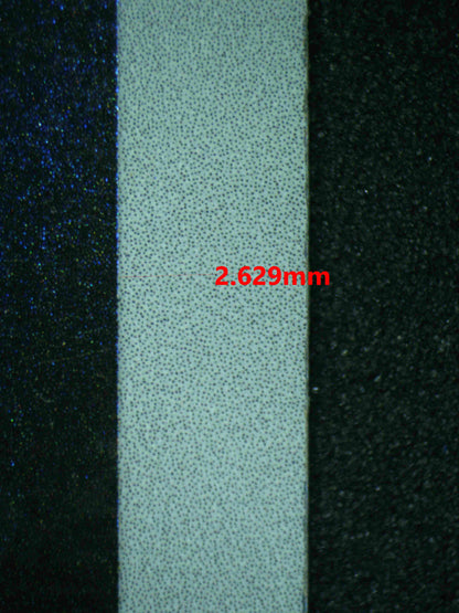 06617 CHARMELEON (SPANISH) Grading Card