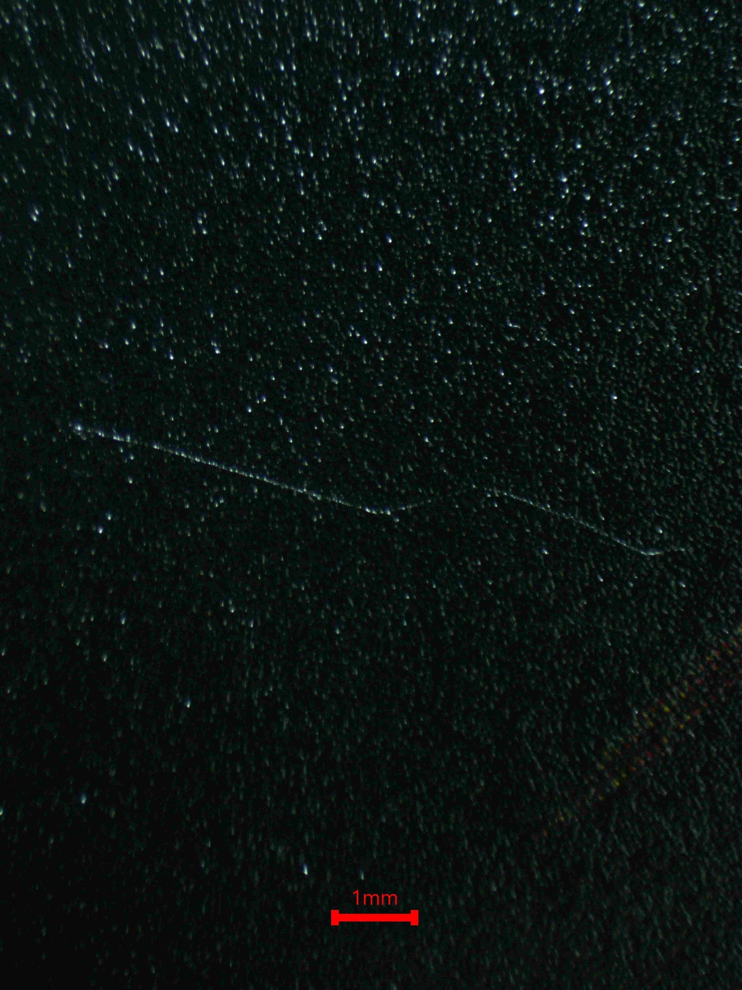 06620 BLUE-EYES WHITE DRAGON (NORTH AMERICA) Grading Card