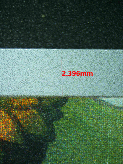 06623 EEVEE Grading Card