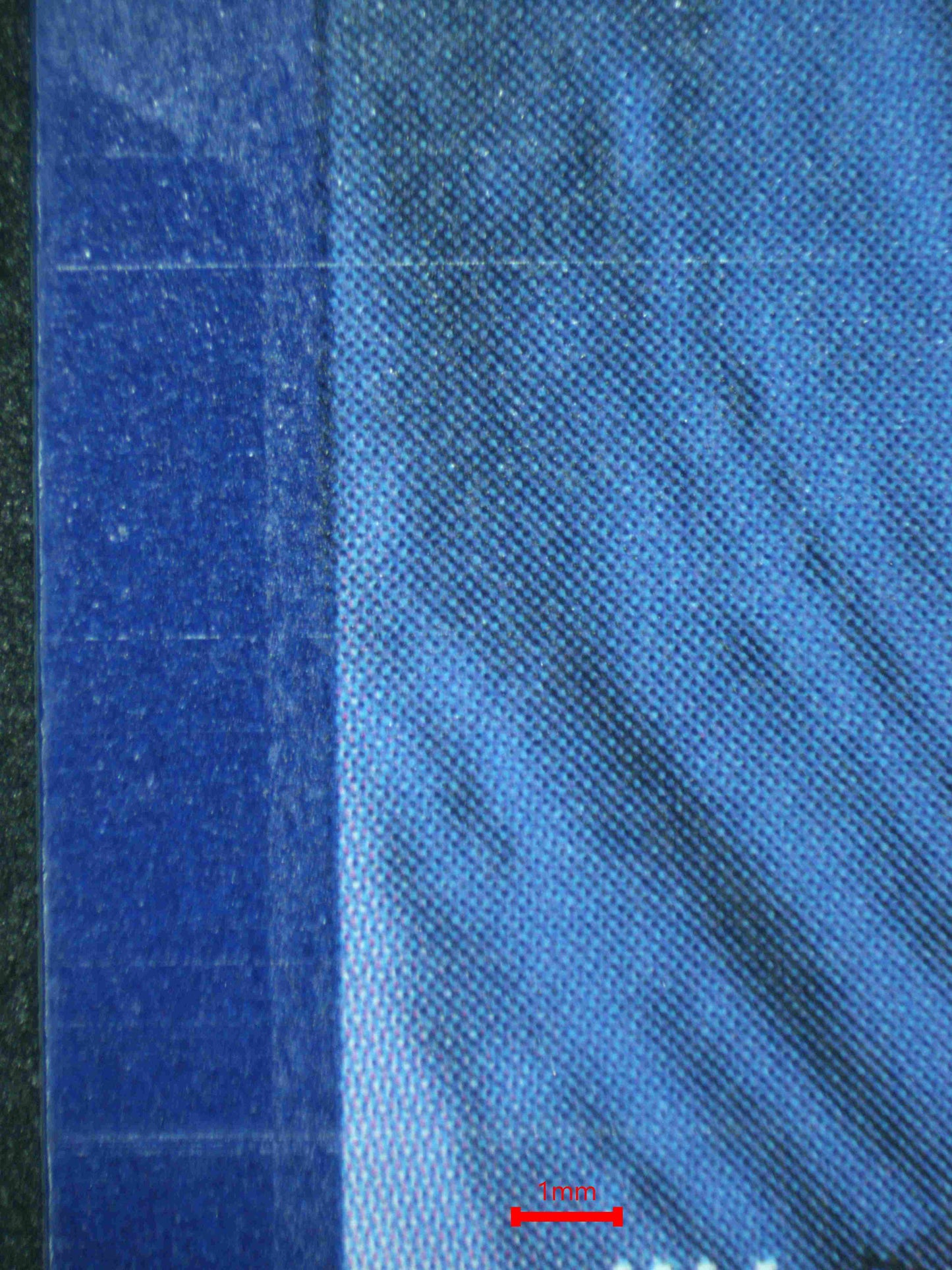 06625 UMBREON V Grading Card