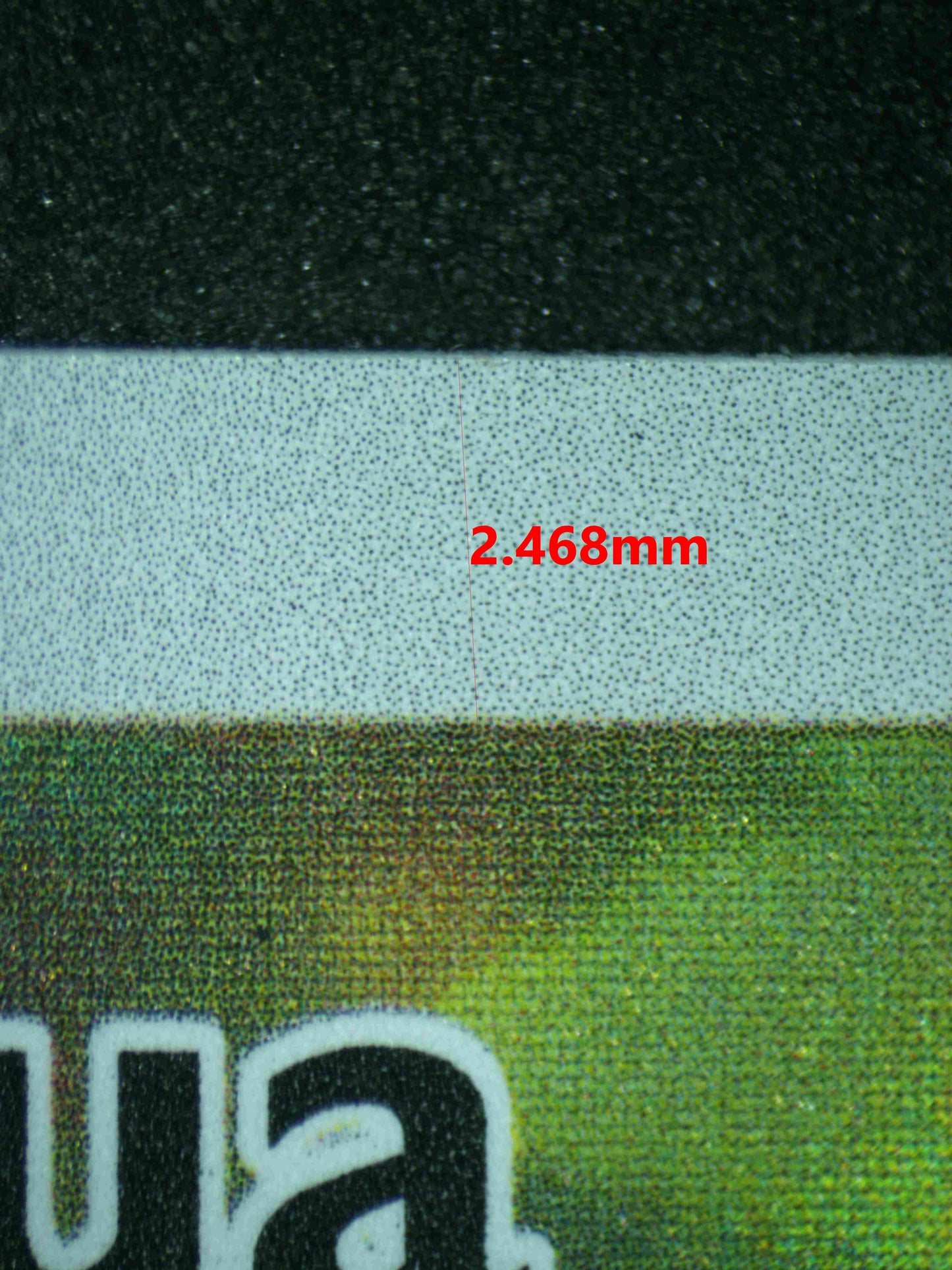 06631 N'S ZORUA Grading Card