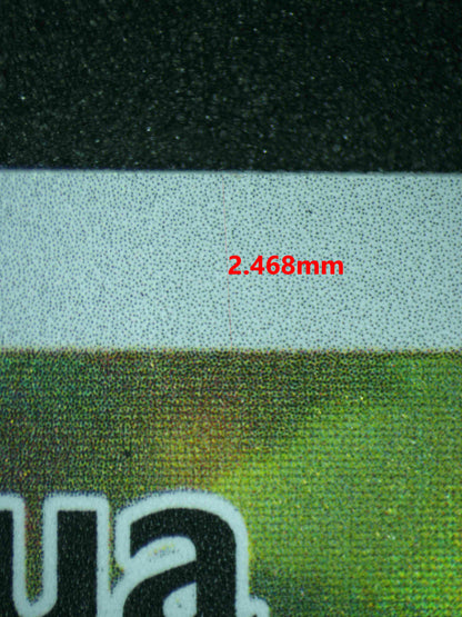 06631 N'S ZORUA Grading Card