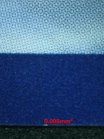 06633 GALARIAN MOLTRES Grading Card