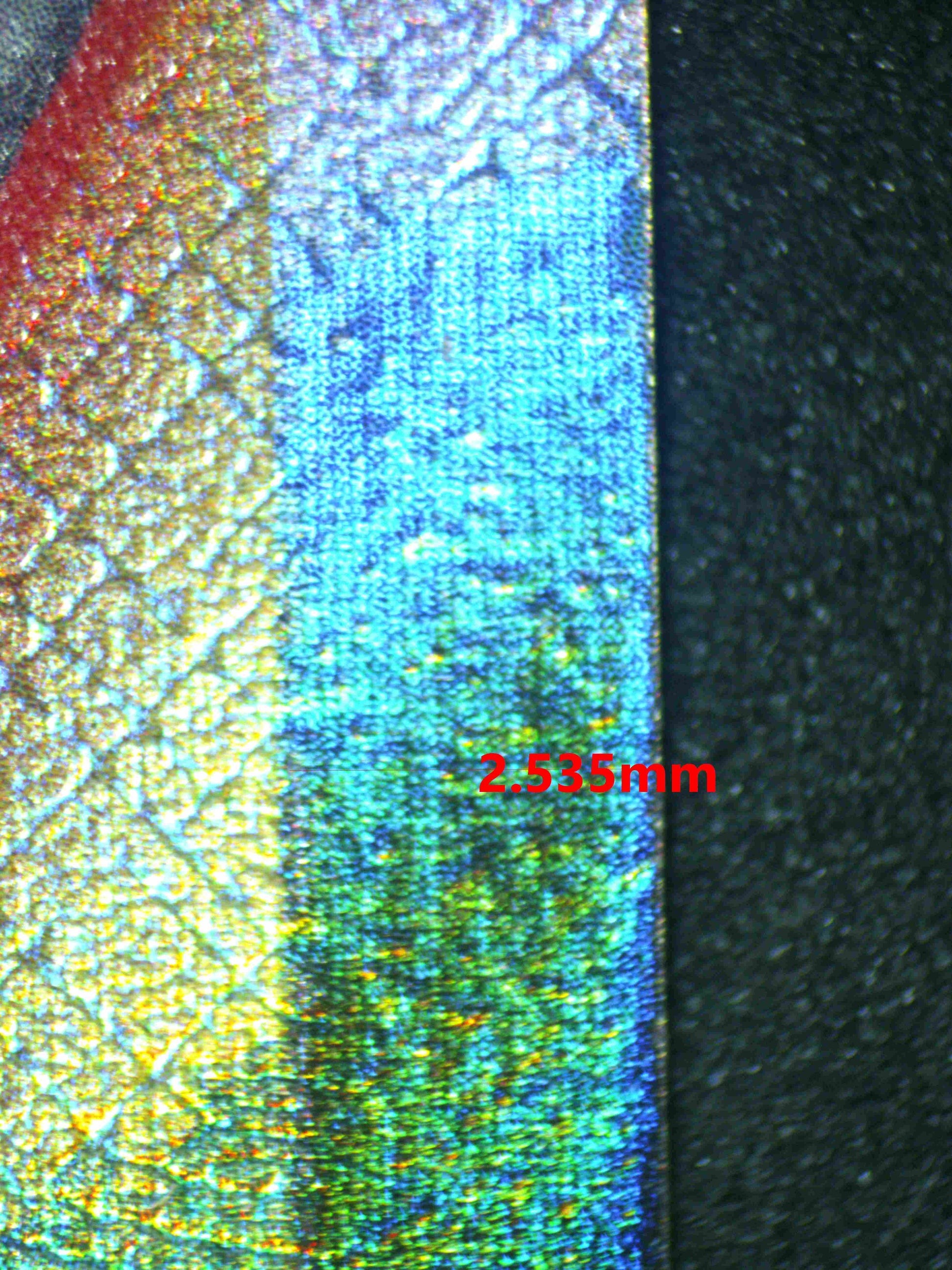 06634 CORVIKNIGHT VAMX (SPANISH) Grading Card