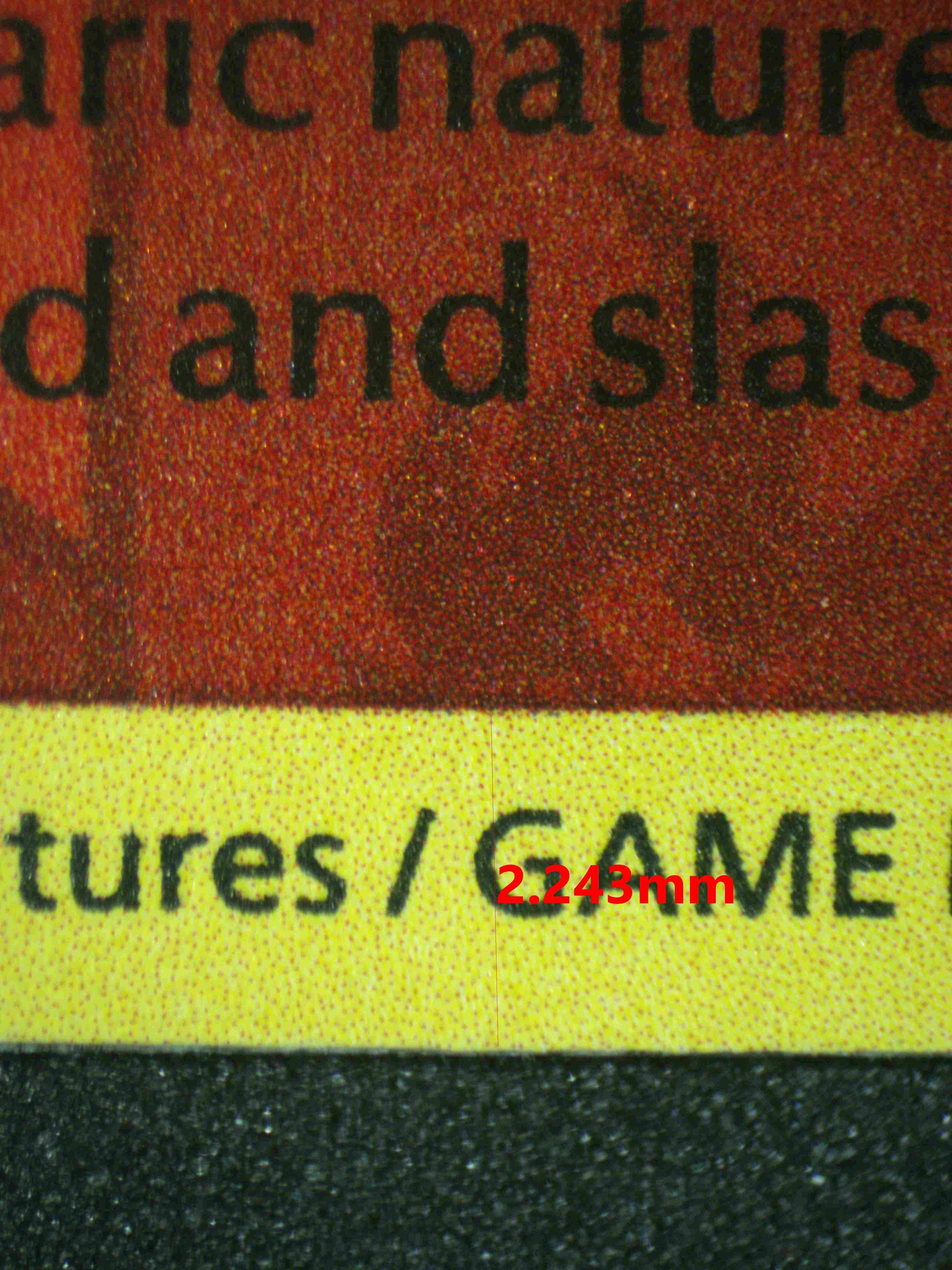 06637 CHARMELEON Grading Card