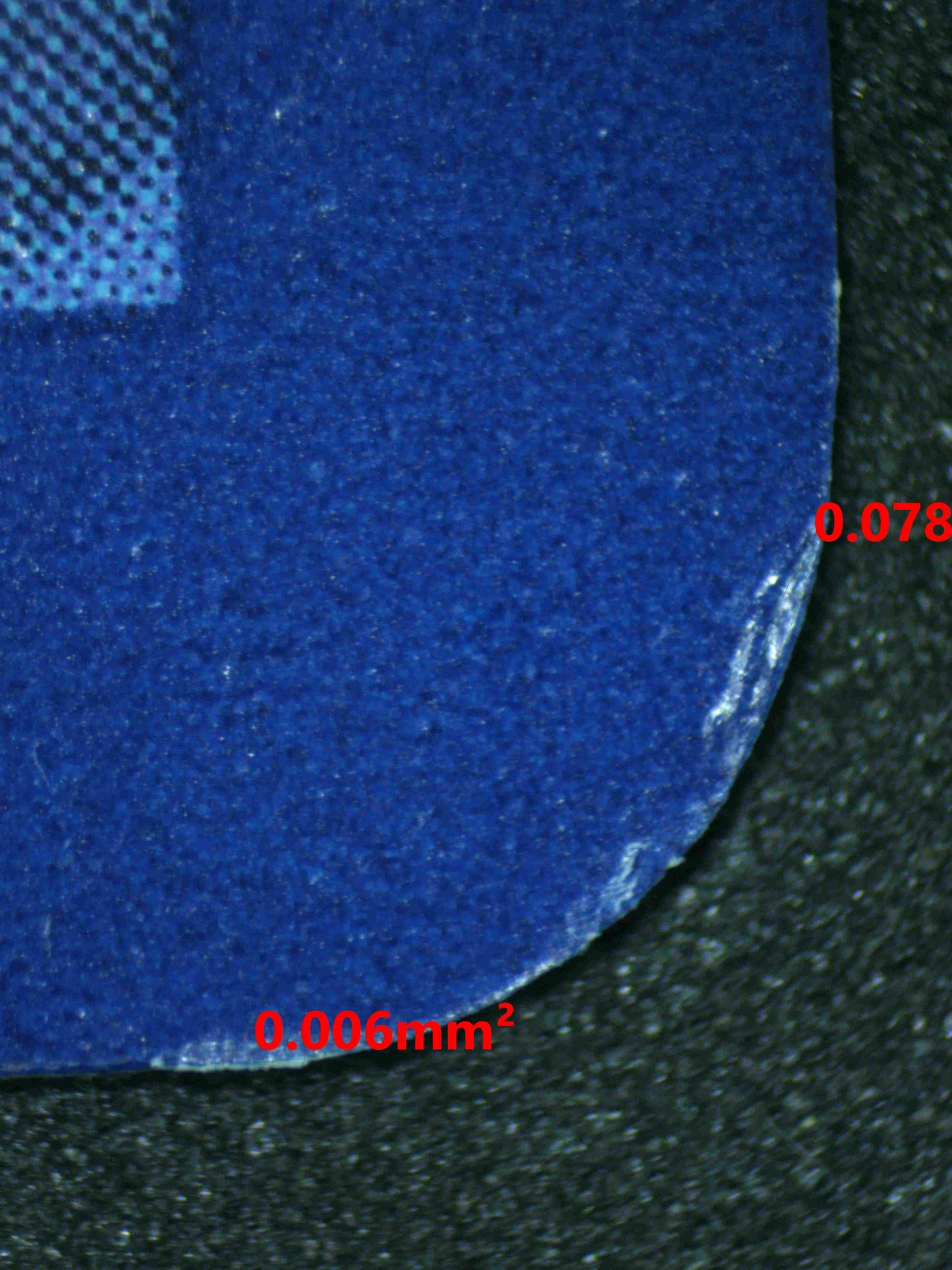 06642 JASMINE'S GAZE Grading Card